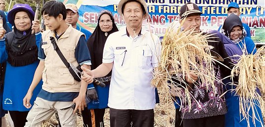 Produksi Padi Meningkat, Agam Surplus Beras thumbnail