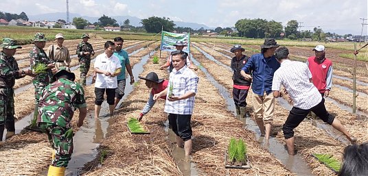 Beni Warlis : Basawah Pokok Murah, Solusi Petani Tekan Biaya Produksi thumbnail