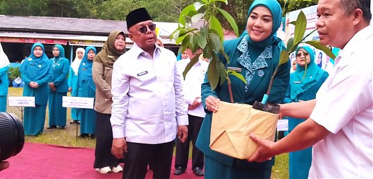 DINAS PERTANIAN SERAHKAN BIBIT ALPUKAT, MANGGIS, DAN DURIAN PADA PENCANANGAN GERAKAN AGAM MENANAM  thumbnail