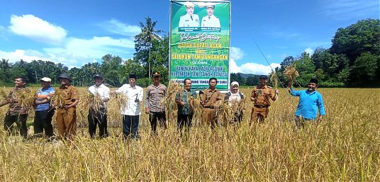 Panen Padi Organik, Penyerahan Sertifikat Organik, dan Launcing Pupuk Kompos di Kecamatan Kamang Magek thumbnail