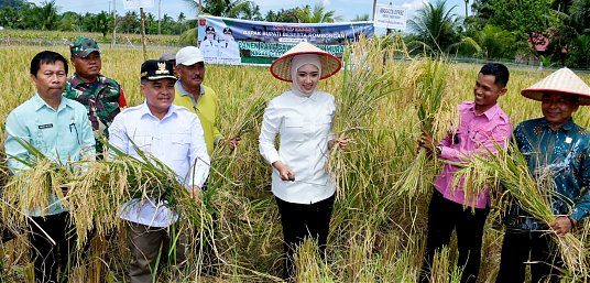 Bupati Agam Terima Bantuan Saprodi Pertanian dari Anggota DPR RI thumbnail