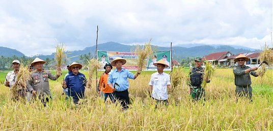 Sekretaris Daerah Kabupaten Agam, Dr. Mhd Lutfi AR, SH, M.Si Panen Sawah Pokok Murah Nagari Padang Tarok Kecamatan Baso thumbnail