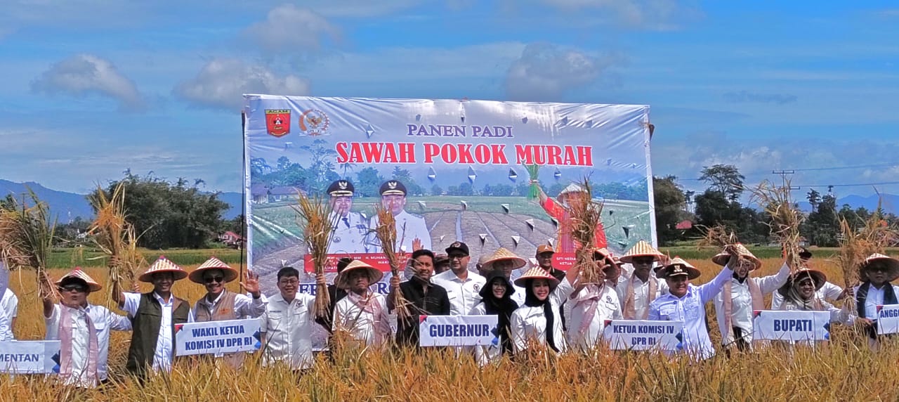 Apresiasi Komisi IV DPR RI, Sawah Pokok Murah Layak Diterapkan di Seluruh Indonesia thumbnail
