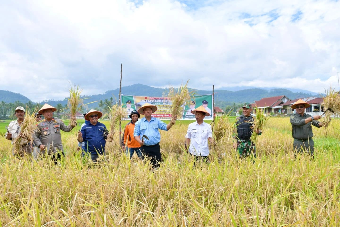Sekretaris Daerah Kabupaten Agam, Dr. Mhd Lutfi AR, SH, M.Si Panen Sawah Pokok Murah Nagari Padang Tarok Kecamatan Baso thumbnail