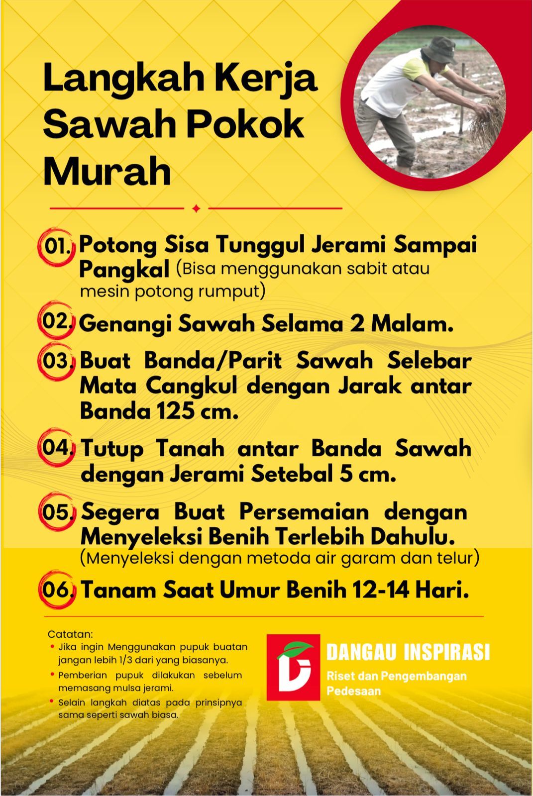 LANGKAH KERJA SAWAH POKOK MURAH thumbnail