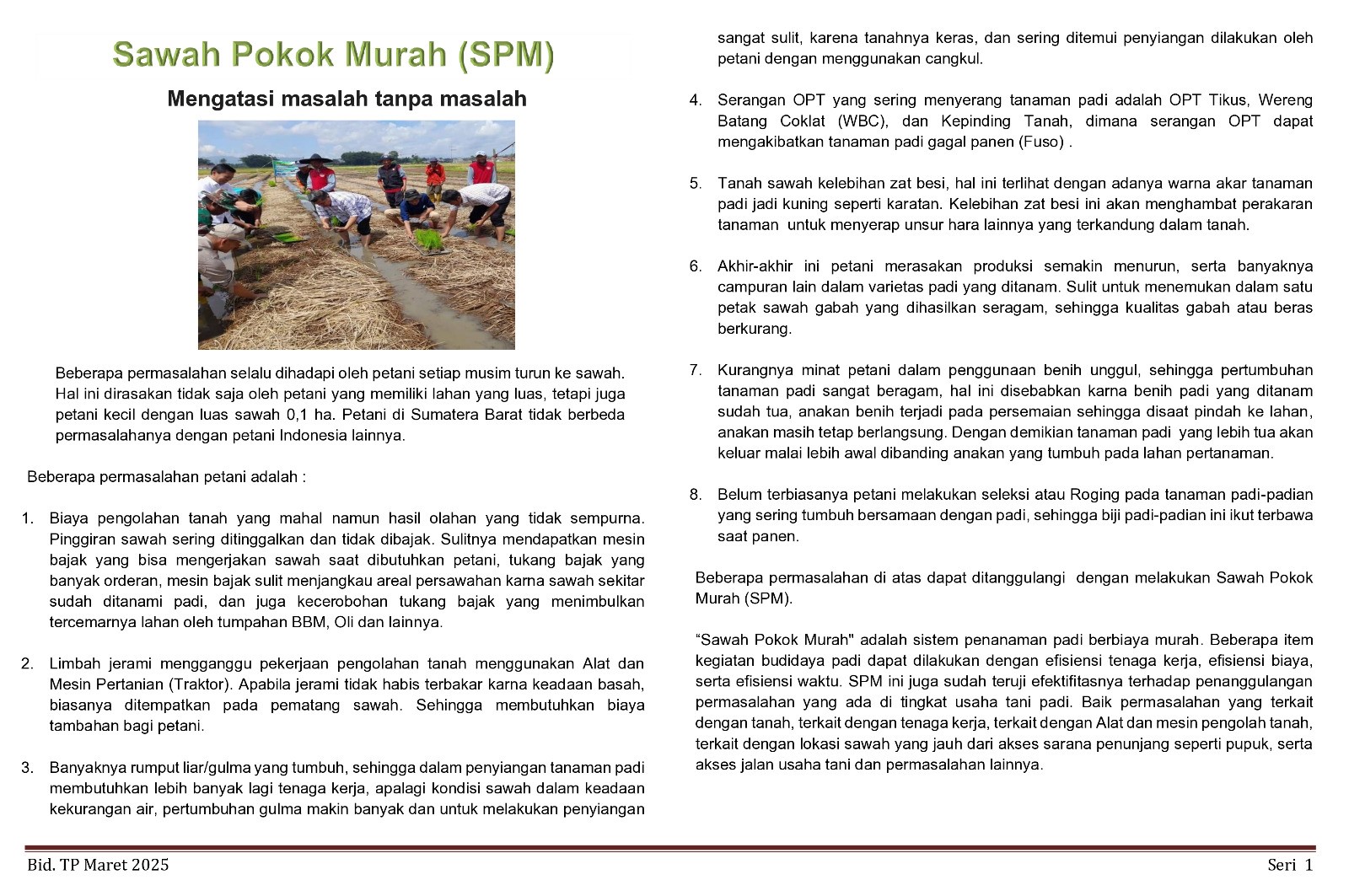 Sawah Pokok Murah Mengatasi Masalah Tanpa Masalah thumbnail